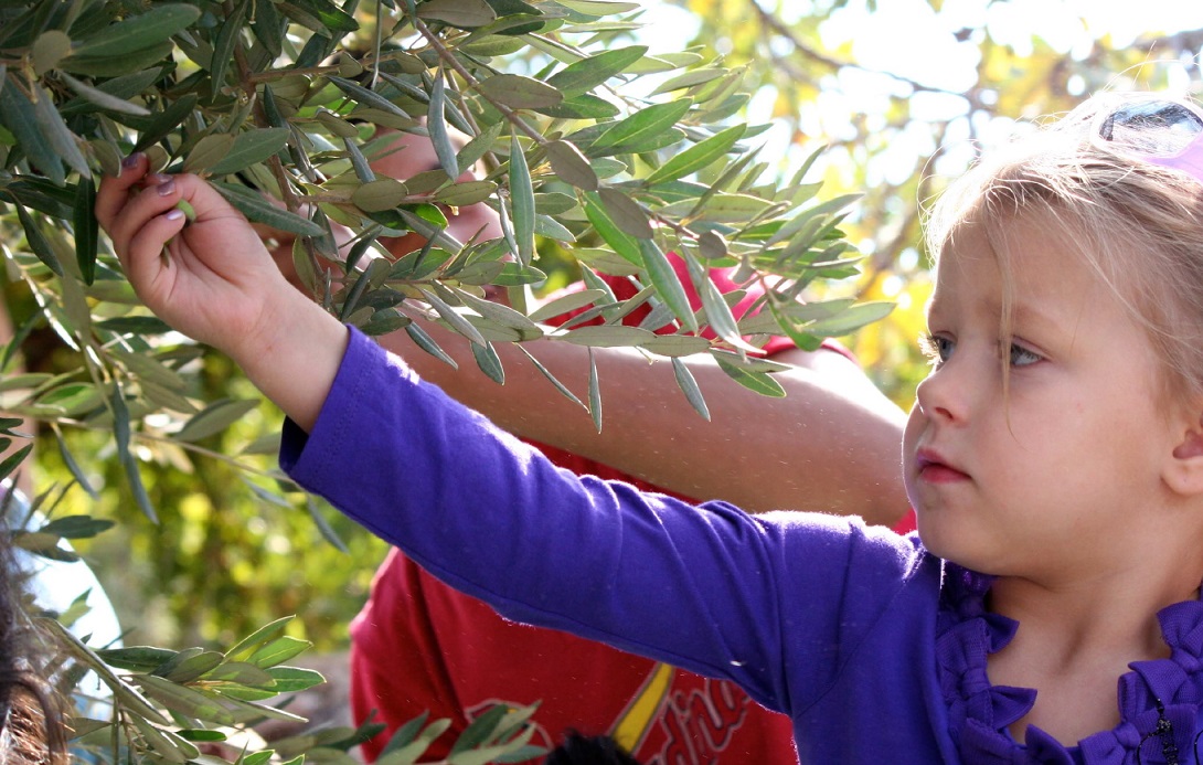 Jordanische Kultur und authentische Erlebnisse & Aktivitäten in Ajloun